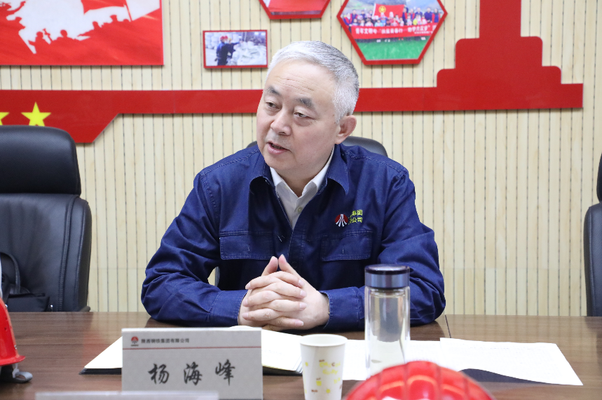楊海峰到漢鋼公司開(kāi)展安全履職