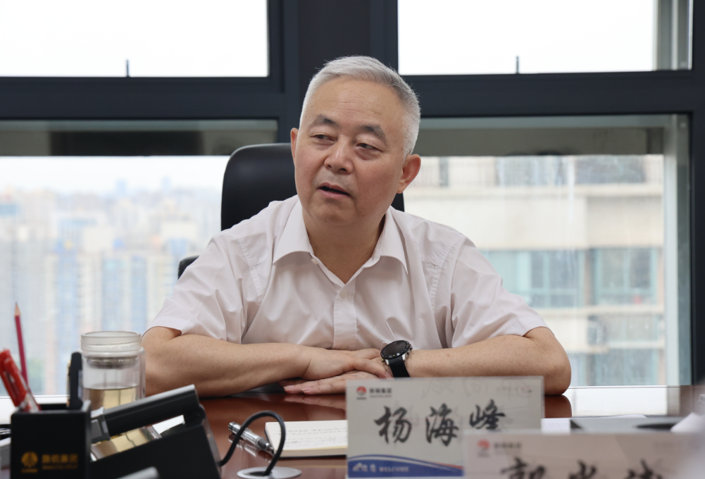 以務(wù)實(shí)舉措促黨建工作效率和質(zhì)量再提升——楊海峰對高質(zhì)量黨建工作提出要求